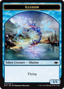 Illusion // Marit Lage Double-Sided Token